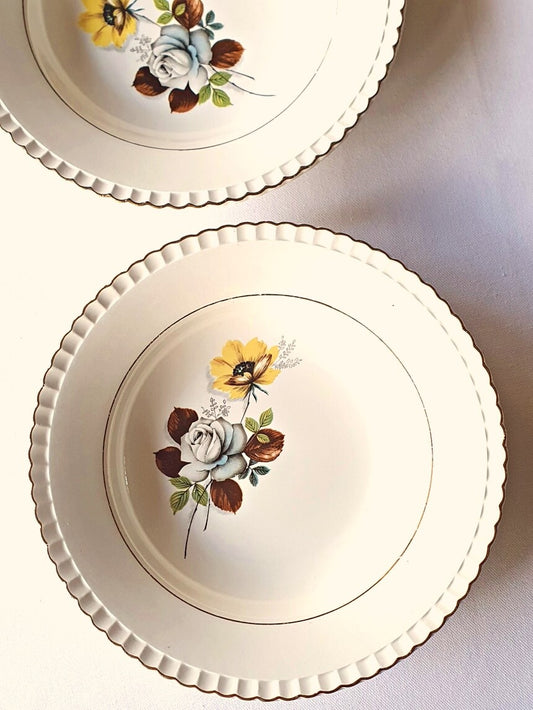 set of 2, Digoin Véronese, vintage deep plate, earthenware