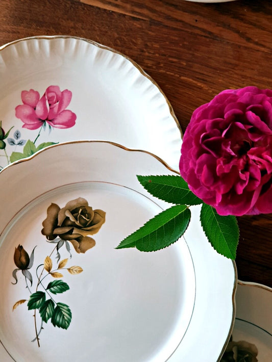 picture of two sarreguemines digoin french vintage plate with pink roses and brown rose print