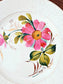 picture of a french vintage pink cosmos print plate 2