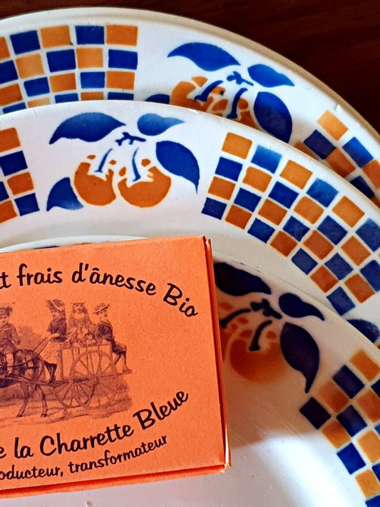 picture of fruit print blue and orange vintage plate with orange color case of bio donkey's milk soap