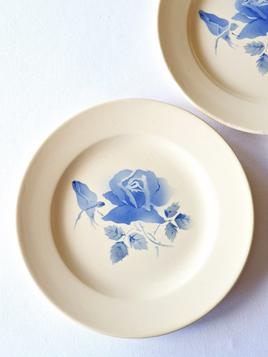 picture of french vintage digoin plate with blue roses