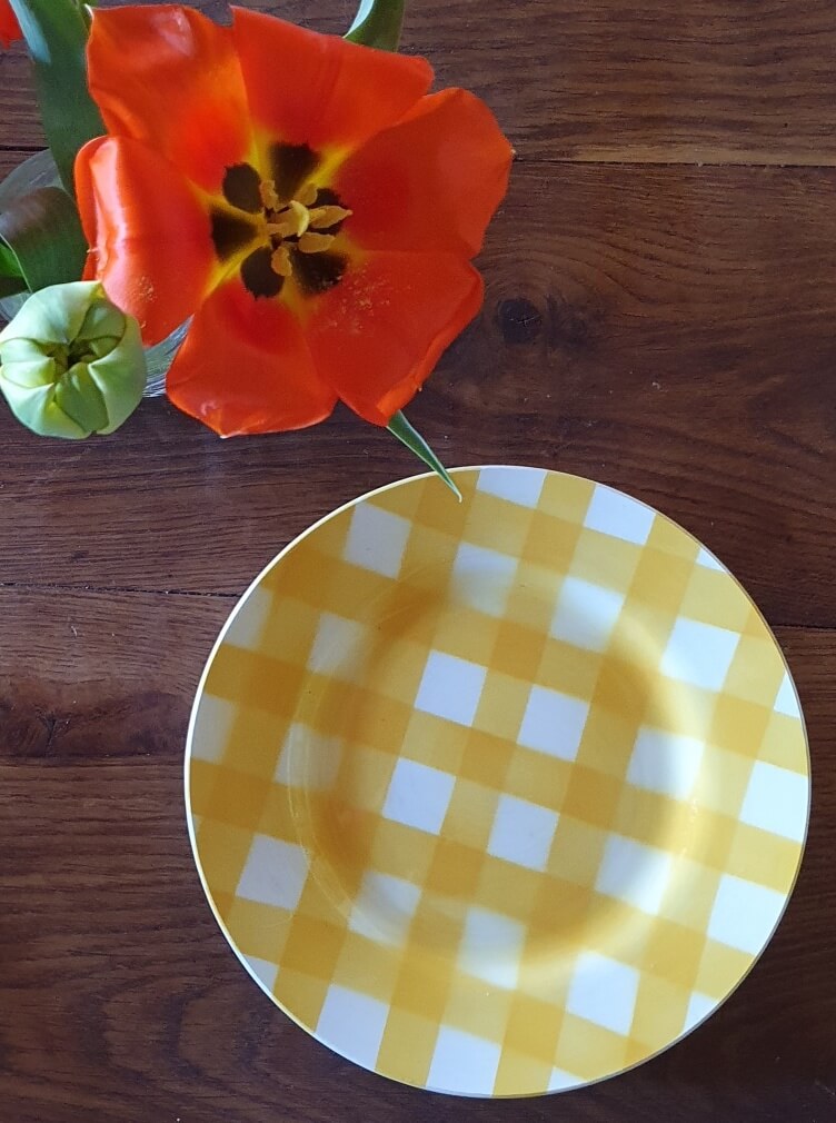 picture of yellow check vintage plate with a red tulip