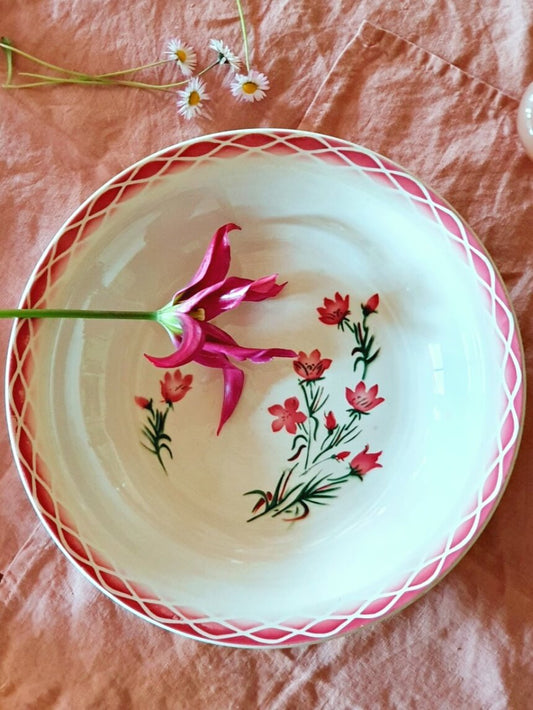 picture of hot pink color french vintage plate 'aude' from digoin sarreguemines