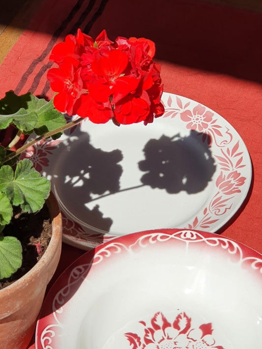 picture of red geraniums with red flowers vintage dinner plates